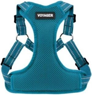 Best Pet Supplies Voyager Mesh Dog Breathable Harness Reflective Stitching, All Weather Adjustable for Walking Training, or Running - Heavy Duty & Durable, Harness (Turquoise), M