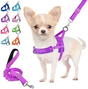 Lukovee No Pull Dog Harness and Leash Set, Soft Padded Small Dog Harness, Neck & Chest Adjustable Reflective Vest Puppy Harness with 4ft Lightweight Anti-Twist Dog Leash for Small Dogs (XXS, Purple)