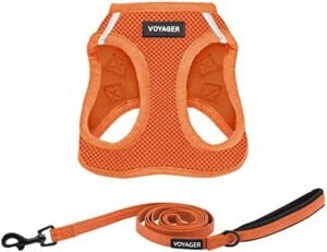 Voyager Step-in Air All Weather Mesh Harness and Reflective Dog 5 ft Leash Combo with Neoprene Handle, for Small, Medium and Large Breed Puppies by Best Pet Supplies - Harness Leash Set (Orange), M