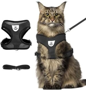 shudyear Summer cat Chest Harness and Leash, Anti-Escape Adjustable Soft mesh cat Leash and Chest Harness Set for All Types of Cats cat Vests (Size XL,Black)