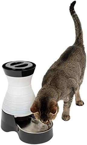 PetSafe Healthy Pet Water Station - Small, 64 oz Capacity - Gravity Pet Water Fountain, Automatic Cat Water Fountain, Dog Water Fountain, Water Dispenser - Removable Stainless Steel Bowl Included