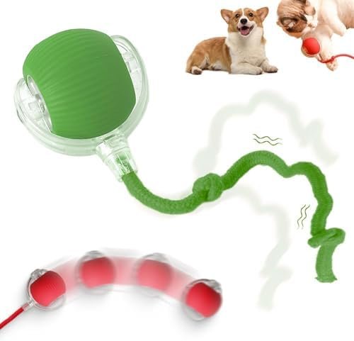 Interactive 2025 Upgraded Version Dog & Cat Toy, Intelligent Automatic Rolling Ball (Green)