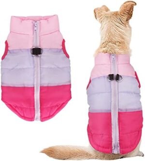 Idepet Pet Dog Cat Coat with Leash Anchor Color Patchwork Padded Puppy Vest Jacket Teddy Chihuahua Costumes Pug Cloth XS S M L (Small, Rose Red)