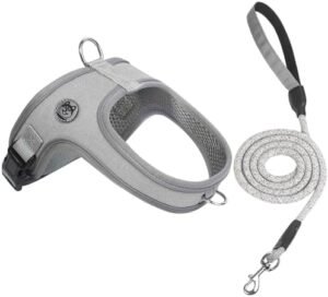 Dog Harness and Leash Set, No Pull Saddle Style Pet Harness, Breathable Mesh Adjustable Reflective Dog Vest for Dogs and Cat Medium Small Harness 2 D-Rings, Grey, M
