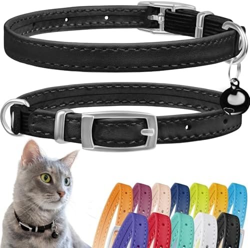 CollarDirect Leather Cat Collar, Kitten Collar with Removable Bell Black Blue Red Orange Lime Green (8-11 Inch, Black)