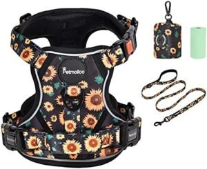 Petmolico No Pull Dog Harness Set with Leash Attachment Easy Control Handle Reflective Harness Vest Small Breed, Puppy Vest and Leash Set with Poop Bag Holder, Large - Sunflower