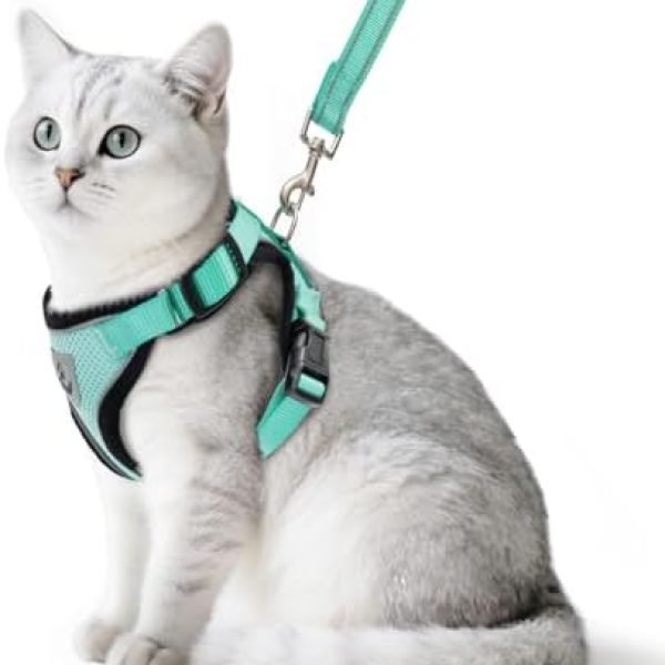 PUPTECK Cat Harness and Leash Set Escape Proof Reflective Cat Walking Harness Adjustable Soft Breathable Mesh Vest for Small Pets, Aquamarine, S